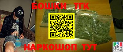тгк Партизанск