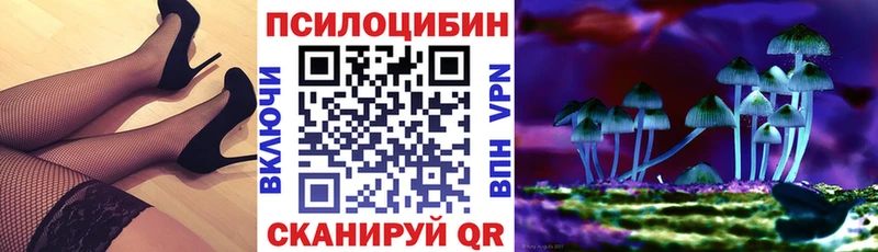 KRAKEN вход купить наркотик Сокол Псилоцибиновые грибы Cubensis