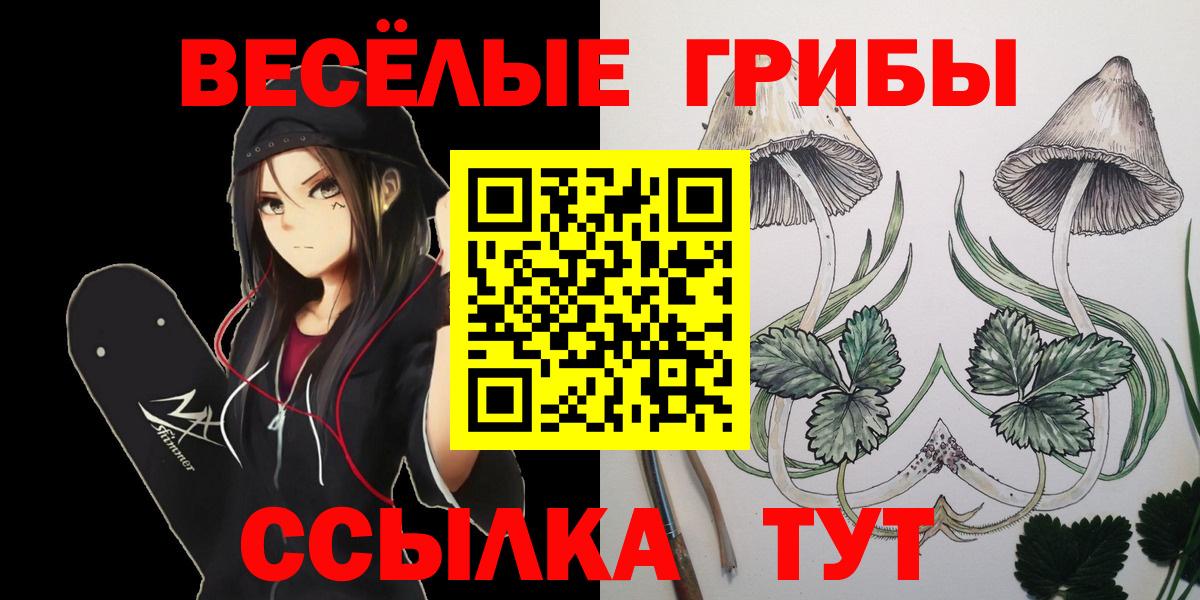 Галлюциногенные грибы ЛСД  Галлюциногенные грибы GOLDEN TEACHER  Вход с VPN  Сокол 