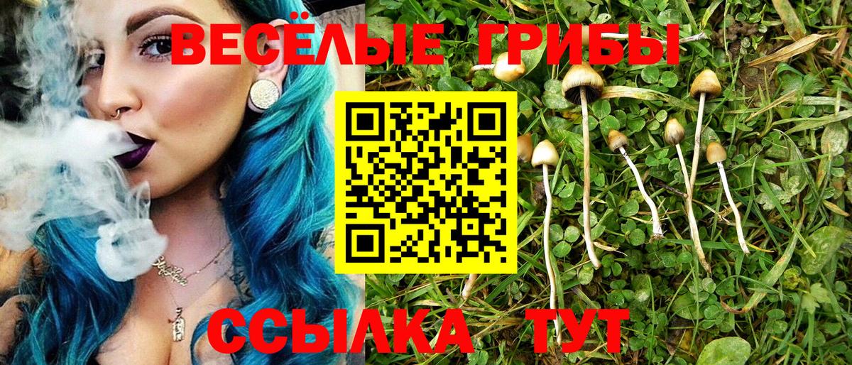 Галлюциногенные грибы MAGIC MUSHROOMS Сокол